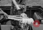 Image of decontamination procedure United States USA, 1942, second 12 stock footage video 65675046403
