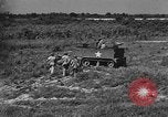 Image of decontamination procedure United States USA, 1942, second 46 stock footage video 65675046403