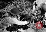Image of decontamination procedure United States USA, 1942, second 62 stock footage video 65675046404