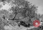 Standbild Tageslicht Patrol Tremensuoli Italien, 1944, aus Sekunde 14 historischem Filmmaterial Videoclip 65675046405