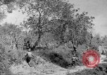 Standbild Tageslicht Patrol Tremensuoli Italien, 1944, aus Sekunde 23 historischem Filmmaterial Videoclip 65675046405
