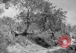Standbild Tageslicht Patrol Tremensuoli Italien, 1944, aus Sekunde 25 historischem Filmmaterial Videoclip 65675046405