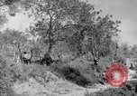 Standbild Tageslicht Patrol Tremensuoli Italien, 1944, aus Sekunde 26 historischem Filmmaterial Videoclip 65675046405