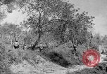 Standbild Tageslicht Patrol Tremensuoli Italien, 1944, aus Sekunde 29 historischem Filmmaterial Videoclip 65675046405