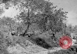 Standbild Tageslicht Patrol Tremensuoli Italien, 1944, aus Sekunde 30 historischem Filmmaterial Videoclip 65675046405
