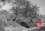Standbild Tageslicht Patrol Tremensuoli Italien, 1944, aus Sekunde 31 historischem Filmmaterial Videoclip 65675046405