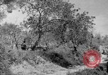 Standbild Tageslicht Patrol Tremensuoli Italien, 1944, aus Sekunde 33 historischem Filmmaterial Videoclip 65675046405