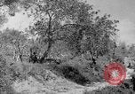 Standbild Tageslicht Patrol Tremensuoli Italien, 1944, aus Sekunde 34 historischem Filmmaterial Videoclip 65675046405