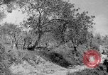 Standbild Tageslicht Patrol Tremensuoli Italien, 1944, aus Sekunde 35 historischem Filmmaterial Videoclip 65675046405