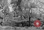 Standbild Tageslicht Patrol Tremensuoli Italien, 1944, aus Sekunde 37 historischem Filmmaterial Videoclip 65675046405