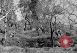 Standbild Tageslicht Patrol Tremensuoli Italien, 1944, aus Sekunde 38 historischem Filmmaterial Videoclip 65675046405