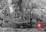 Standbild Tageslicht Patrol Tremensuoli Italien, 1944, aus Sekunde 40 historischem Filmmaterial Videoclip 65675046405
