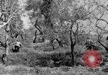 Standbild Tageslicht Patrol Tremensuoli Italien, 1944, aus Sekunde 41 historischem Filmmaterial Videoclip 65675046405