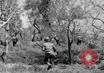 Standbild Tageslicht Patrol Tremensuoli Italien, 1944, aus Sekunde 45 historischem Filmmaterial Videoclip 65675046405