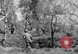 Standbild Tageslicht Patrol Tremensuoli Italien, 1944, aus Sekunde 46 historischem Filmmaterial Videoclip 65675046405