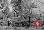 Standbild Tageslicht Patrol Tremensuoli Italien, 1944, aus Sekunde 47 historischem Filmmaterial Videoclip 65675046405