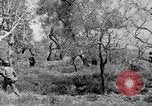 Standbild Tageslicht Patrol Tremensuoli Italien, 1944, aus Sekunde 48 historischem Filmmaterial Videoclip 65675046405