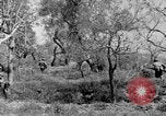 Standbild Tageslicht Patrol Tremensuoli Italien, 1944, aus Sekunde 49 historischem Filmmaterial Videoclip 65675046405