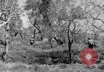Standbild Tageslicht Patrol Tremensuoli Italien, 1944, aus Sekunde 50 historischem Filmmaterial Videoclip 65675046405