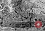 Standbild Tageslicht Patrol Tremensuoli Italien, 1944, aus Sekunde 51 historischem Filmmaterial Videoclip 65675046405