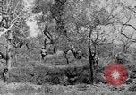 Standbild Tageslicht Patrol Tremensuoli Italien, 1944, aus Sekunde 52 historischem Filmmaterial Videoclip 65675046405