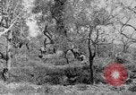 Standbild Tageslicht Patrol Tremensuoli Italien, 1944, aus Sekunde 53 historischem Filmmaterial Videoclip 65675046405