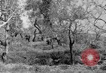 Standbild Tageslicht Patrol Tremensuoli Italien, 1944, aus Sekunde 57 historischem Filmmaterial Videoclip 65675046405