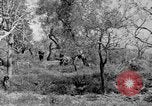 Standbild Tageslicht Patrol Tremensuoli Italien, 1944, aus Sekunde 58 historischem Filmmaterial Videoclip 65675046405