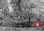 Standbild Tageslicht Patrol Tremensuoli Italien, 1944, aus Sekunde 61 historischem Filmmaterial Videoclip 65675046405