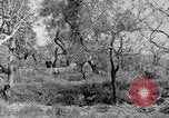 Standbild Tageslicht Patrol Tremensuoli Italien, 1944, aus Sekunde 62 historischem Filmmaterial Videoclip 65675046405
