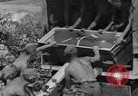 Image of Stuka dive bombers Europe, 1940, second 10 stock footage video 65675046409