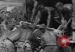 Image of Stuka dive bombers Europe, 1940, second 13 stock footage video 65675046409