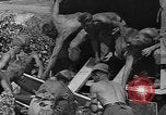 Image of Stuka dive bombers Europe, 1940, second 14 stock footage video 65675046409