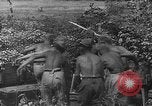Image of Stuka dive bombers Europe, 1940, second 17 stock footage video 65675046409