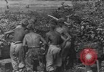 Image of Stuka dive bombers Europe, 1940, second 18 stock footage video 65675046409