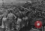 Image of Stuka dive bombers Europe, 1940, second 19 stock footage video 65675046409