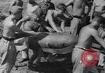 Image of Stuka dive bombers Europe, 1940, second 20 stock footage video 65675046409
