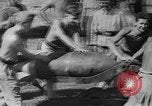 Image of Stuka dive bombers Europe, 1940, second 21 stock footage video 65675046409