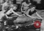 Image of Stuka dive bombers Europe, 1940, second 22 stock footage video 65675046409
