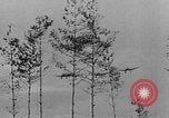 Image of Stuka dive bombers Europe, 1940, second 15 stock footage video 65675046411
