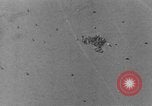 Image of Stuka dive bombers Europe, 1940, second 43 stock footage video 65675046411