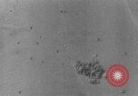 Image of Stuka dive bombers Europe, 1940, second 44 stock footage video 65675046411