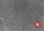 Standbild Heinkel He 111 bomber Europa, 1940, aus Sekunde 11 historischem Filmmaterial Videoclip 65675046412