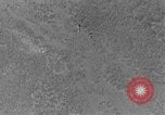 Standbild Heinkel He 111 bomber Europa, 1940, aus Sekunde 14 historischem Filmmaterial Videoclip 65675046412