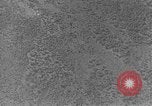 Standbild Heinkel He 111 bomber Europa, 1940, aus Sekunde 15 historischem Filmmaterial Videoclip 65675046412