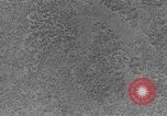 Standbild Heinkel He 111 bomber Europa, 1940, aus Sekunde 17 historischem Filmmaterial Videoclip 65675046412