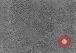 Standbild Heinkel He 111 bomber Europa, 1940, aus Sekunde 18 historischem Filmmaterial Videoclip 65675046412