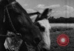 Standbild Joseph Suss Oppenheimer Deutschland, 1940, aus Sekunde 11 historischem Filmmaterial Videoclip 65675046418