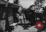 Standbild Joseph Suss Oppenheimer Deutschland, 1940, aus Sekunde 29 historischem Filmmaterial Videoclip 65675046422