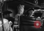 Standbild Joseph Suss Oppenheimer Deutschland, 1940, aus Sekunde 61 historischem Filmmaterial Videoclip 65675046425